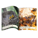 Letters & Sounds Phase 4 Set 2 Non-Fiction