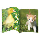 Letters & Sounds Phase 1 Set 2 Non-Fiction