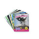 Sound Families R-controlled Non-Fiction Phase 5.5