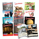 Fix Its Suffixes Non-Fiction Phase 6 - 6 pack