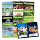 Real World Non-Fiction Hi-Lo Decodables Phase 4 - 6 Pack