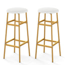 Bar Stools Set of 2 with Sturdy Metal Frame and Footrest