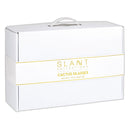 Cactus Glass Set of 6 | Stackable Cocktail Glass Giftable Drinkware Set