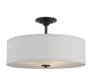 Progress Lighting Inspire Collection Graphite 3-Light 18in Semi-Flush Mount