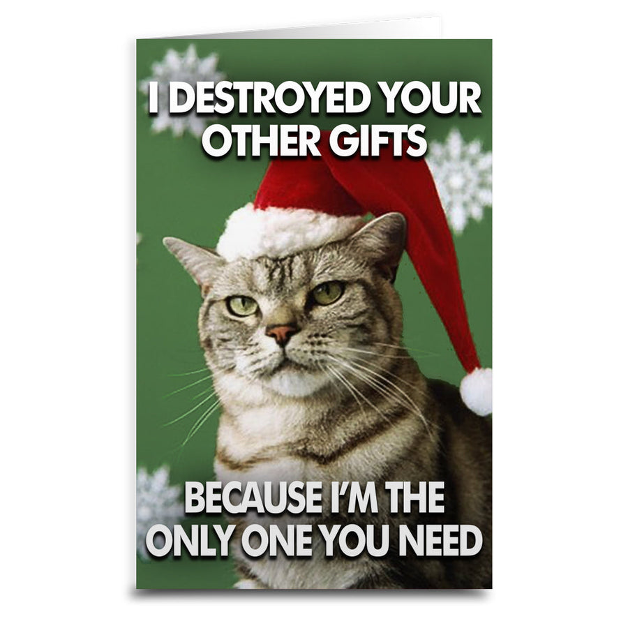 Cat Destroyed the Gifts Greeting Card