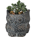 Cement Owl Planter in Dark Gray | Succulents Greenery Plant Pot | Decorative Indoor Outdoor Garden Décor