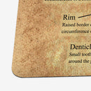 Canadian Coins Cheat Sheet Playmat