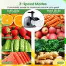 Cold Press Juicer Machine with 95% Juice Yield - Silver