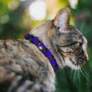 Cat Collar Breakaway - Black Panther Avengers Icon Purple White Black