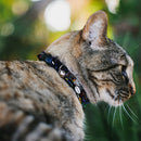 Cat Collar Breakaway - Batman & Joker Comic Strip