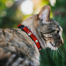 Cat Collar Breakaway - Flash Logo Red White Yellow