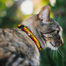 Cat Collar Breakaway - The Flash Bolt Stripe Reds Yellows