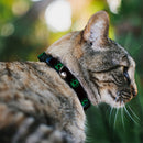 Cat Collar Breakaway with Bell - DC League of Super-Pets Green Lantern Logo Black Green