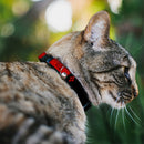 Cat Collar Breakaway - HARLEY QUINN Diamonds Black Red White