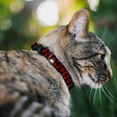 Cat Collar Breakaway - Harley Quinn Diamond Blocks Red Black Black Red