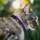 Cat Collar Breakaway - HARLEY QUINN Pow & Aiming Poses Joker Sketch Black Turquoise Fuchsia