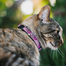 Cat Collar Breakaway - Superman Shield Pink