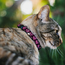 Cat Collar Breakaway - Diagonal Superman Logo w Hearts Black Pink