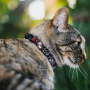 Cat Collar Breakaway - 5-Spider Hero Action Poses Grays