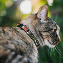 Breakaway Cat Collar with Bell - Gremlins GIZMO Text and Pose Blocks White/Multi Color