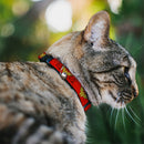 Cat Collar Breakaway - Wonder Woman Logo Red
