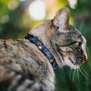 Cat Collar Breakaway - WONDER WOMAN Bombshell Pose Blue Red White