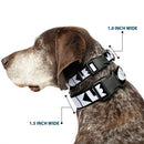 Plastic Clip Collar - BUCKLE-DOWN Shapes Black/White