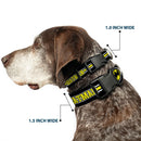 Plastic Clip Collar - BATMAN/Bat Signal Triple Stripe Black/White/Yellow
