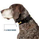 Plastic Clip Collar - DC League of Super-Pets Batman Bat Logo Black/Yellow