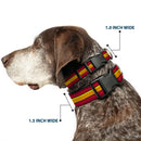 Plastic Clip Collar - The Flash Stripe Burgundy/Gold