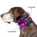 Plastic Clip Collar - Superman Logo in Heart Purple/White/Pink