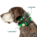 Plastic Clip Collar - South Park Kyle Expressions Greens