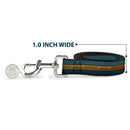 Dog Leash - AQUAMAN Scales Stripe Blues/Golds