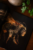 Extinct & Endangered: Insects in Peril