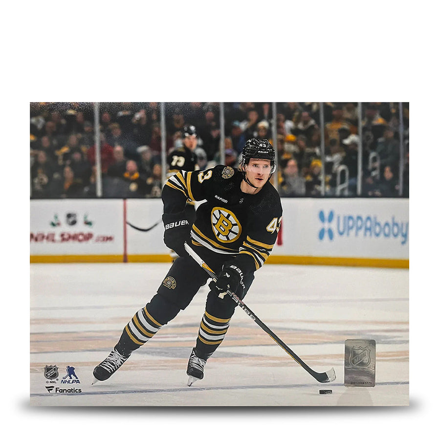 Danton Heinen in Action Boston Bruins 8