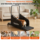 Dog Treadmill with Remote Control and LCD Display