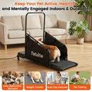 Dog Treadmill with Remote Control and LCD Display