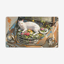 Pastel Dreams and a Cat Playmat