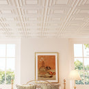 Drop Ceiling Tiles 24" x 24" PVC Ceiling Panels with 3D Decorative Patterns 12-Pack-White