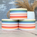 STANLEY STRIPES Tumbler Boot