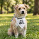 Eat Bark Repeat Pet Bandana in White | Cotton Animal Pet Accessory | 9" x 6"