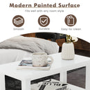 End Table Wooden with 2 Drawers and Shelf Bedside Table