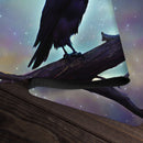 Never More Ravens Playmat