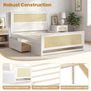 Full Size Rattan Bed Frame with Storage Drawers
