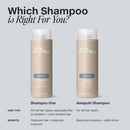 Paul Mitchell Awapuhi Original Shampoo 33.8 fl oz - Imperfect Container