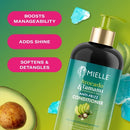 Mielle Organics Avocado & Tamanu Anti-Frizz Conditioner 12 fl oz - New