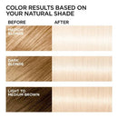 L'Oreal Paris Feria Advanced Lightening System Permanent Hair Color Extreme Platinum - Imperfect Box