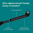 quip Rev Oscillating Brush Head Refill- Black 2pk - Imperfect Box
