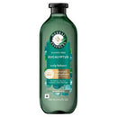 Herbal Essences Eucalyptus Sulfate Free Shampoo, For Dry Scalp 13.5 fl oz - Imperfect Container