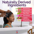 Fairy Tales Rosemary Repel Daily Shampoo 12 fl oz - Imperfect Container